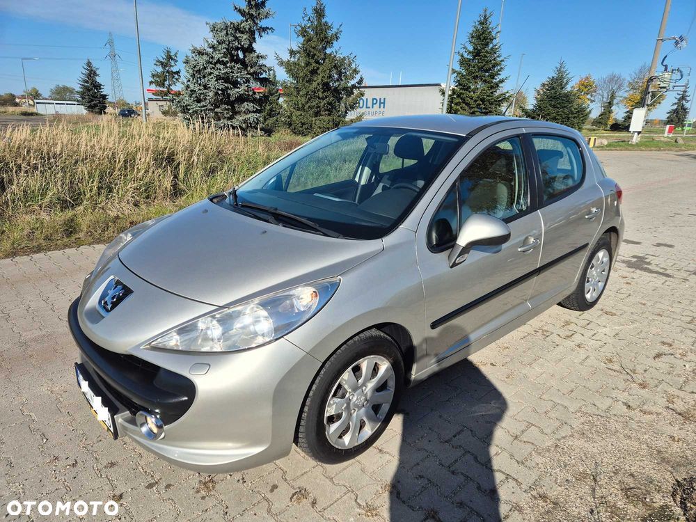 Peugeot 207 - 5