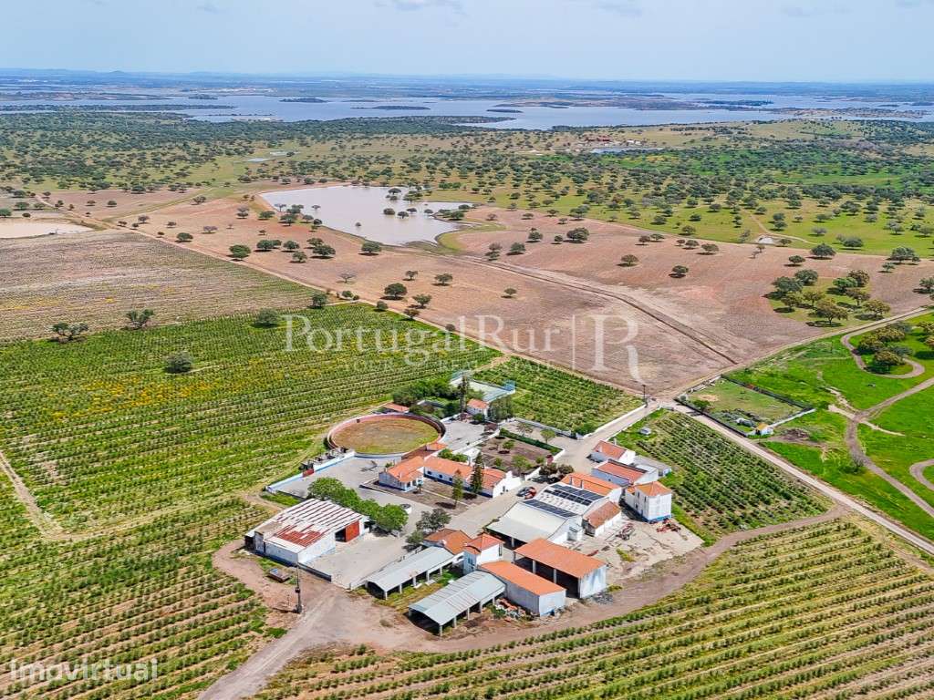 Herdade agropecuária de 550 ha junto ao alqueva com olival - Grande imagem: 3/60