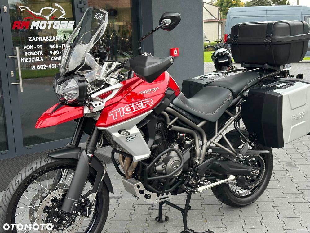 Triumph Tiger - 39