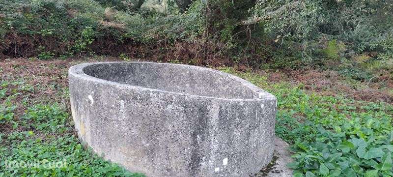 espectacular LOUSA LOURES 1.6 hectares a 15 min da capital Lisboa - Grande imagem: 3/6