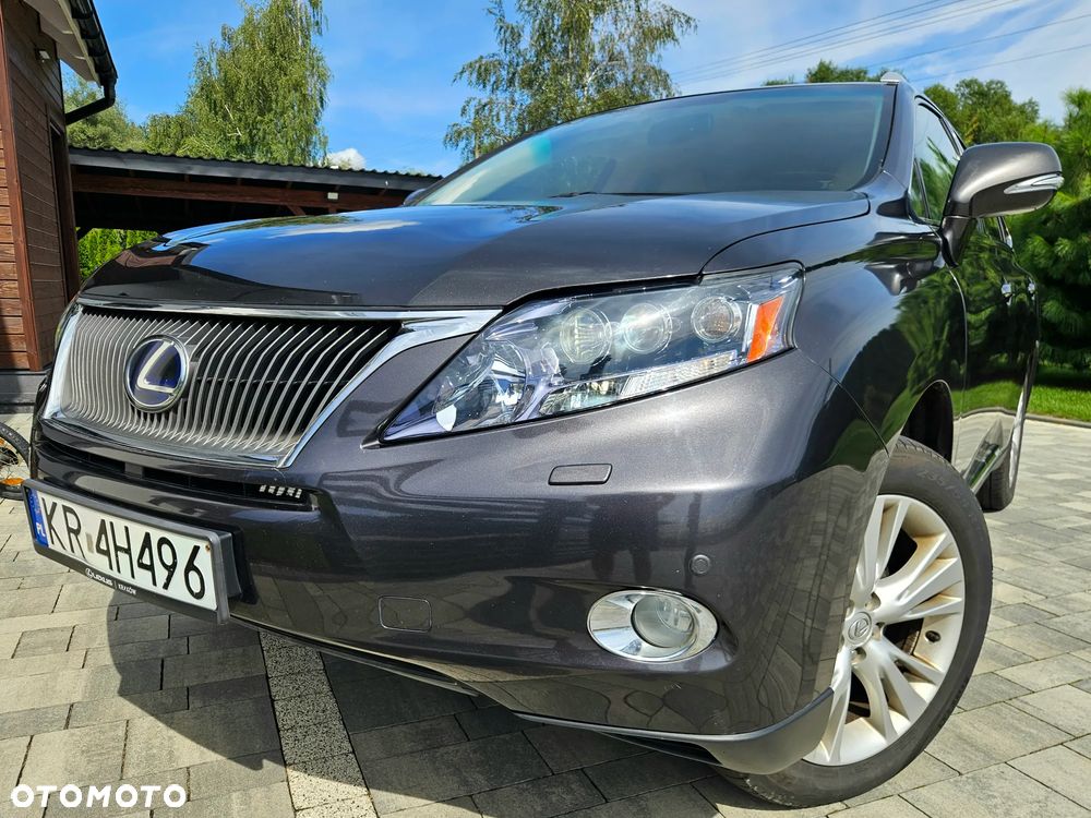 Lexus RX - 14