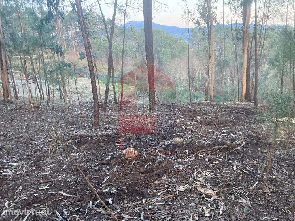 Terreno construção, Sabariz - Grande imagem: 5/27