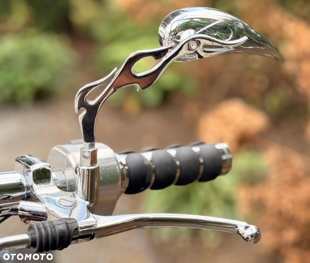 Yamaha Warrior - 28