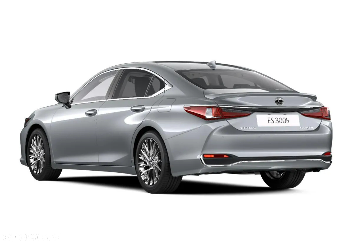 Lexus ES 300h Omotenashi - 6