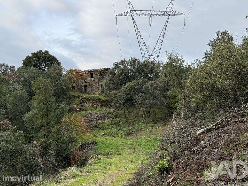 Quinta em Vila Seca e Santo Adrião - Grande imagem: 2/24