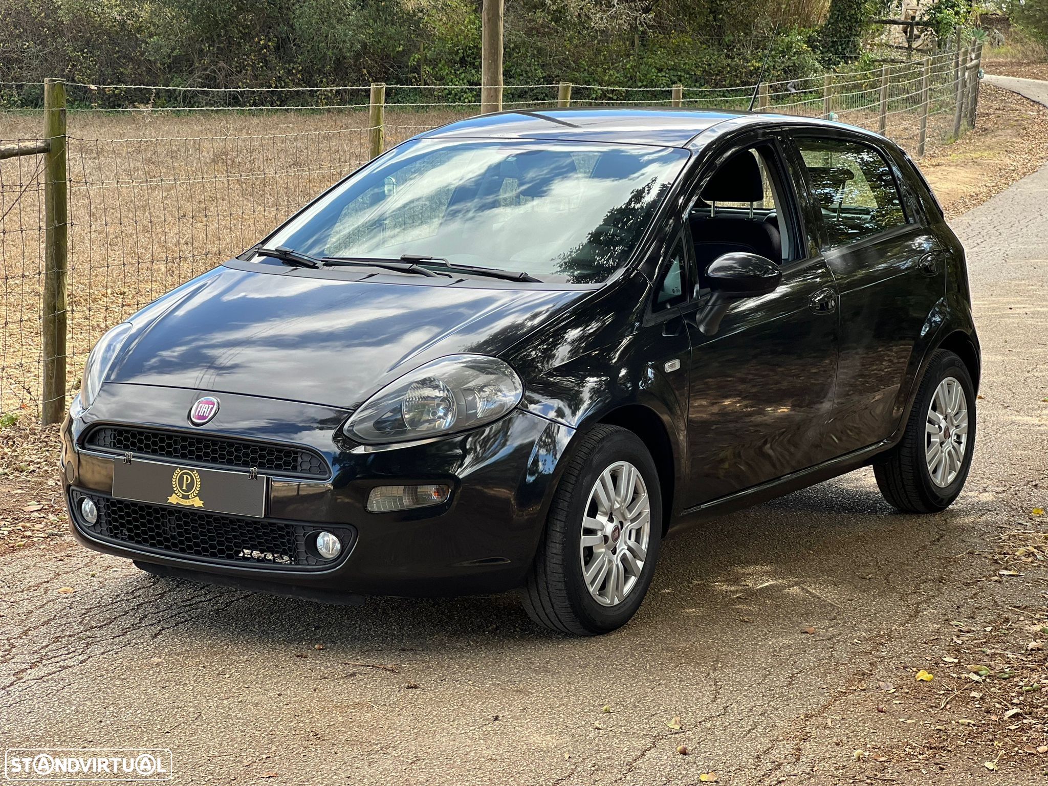 Fiat Punto 1.4 Lounge GPL - 1