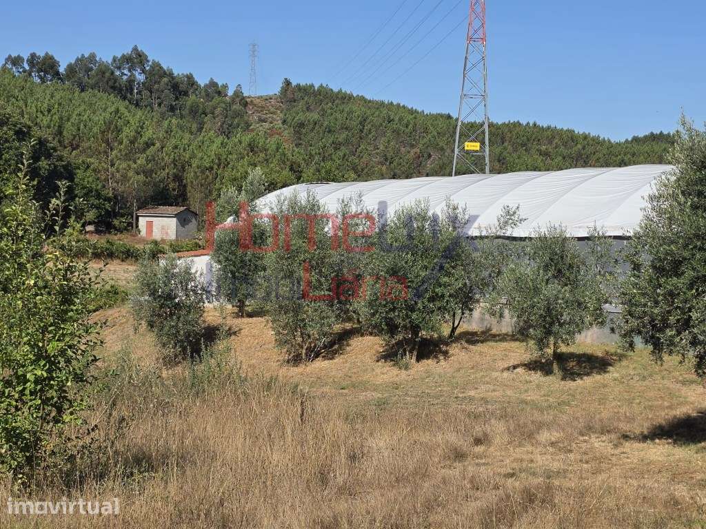 Terreno para venda no Campo, Viseu - Grande imagem: 3/11