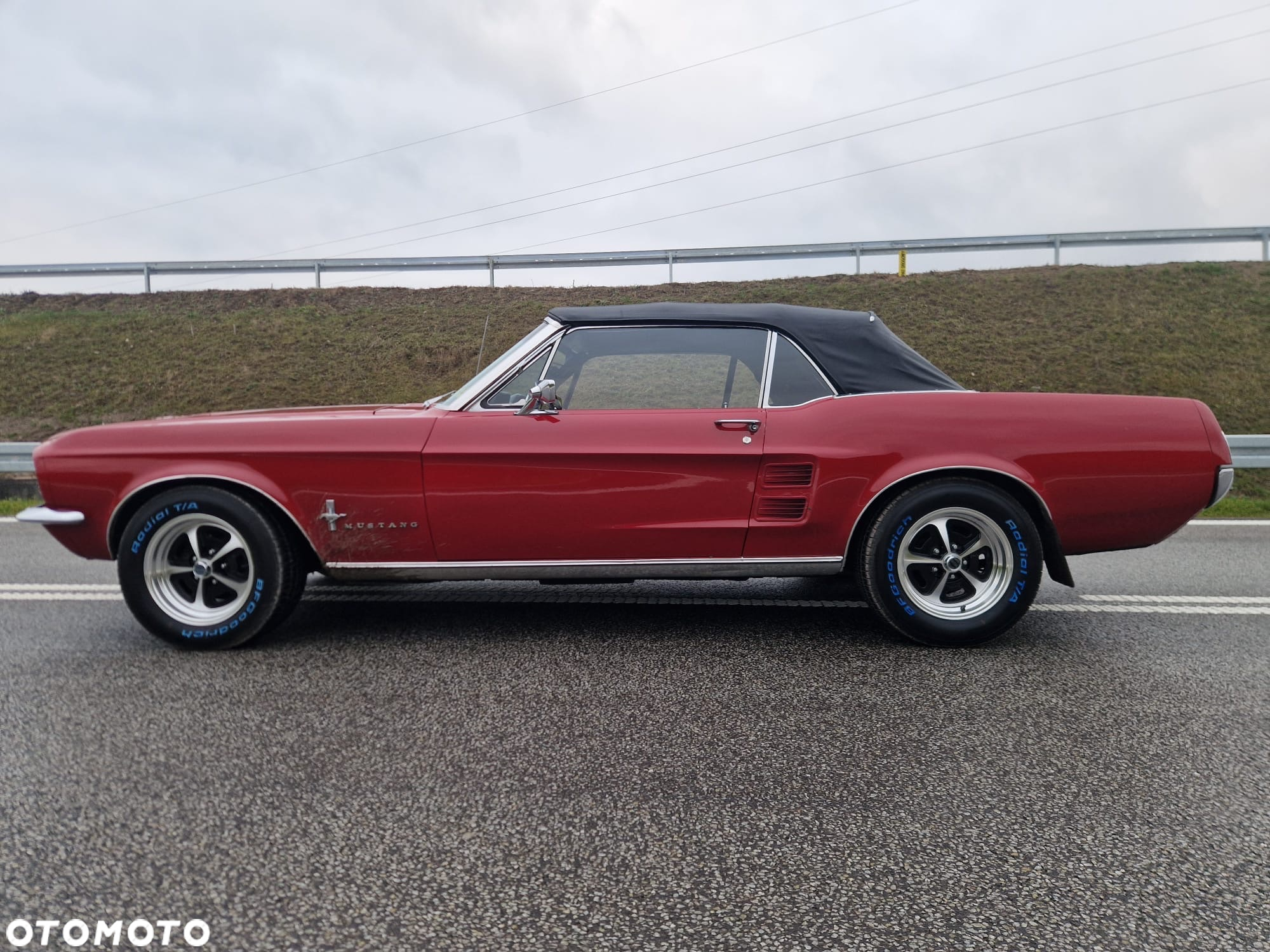Ford Mustang - 8