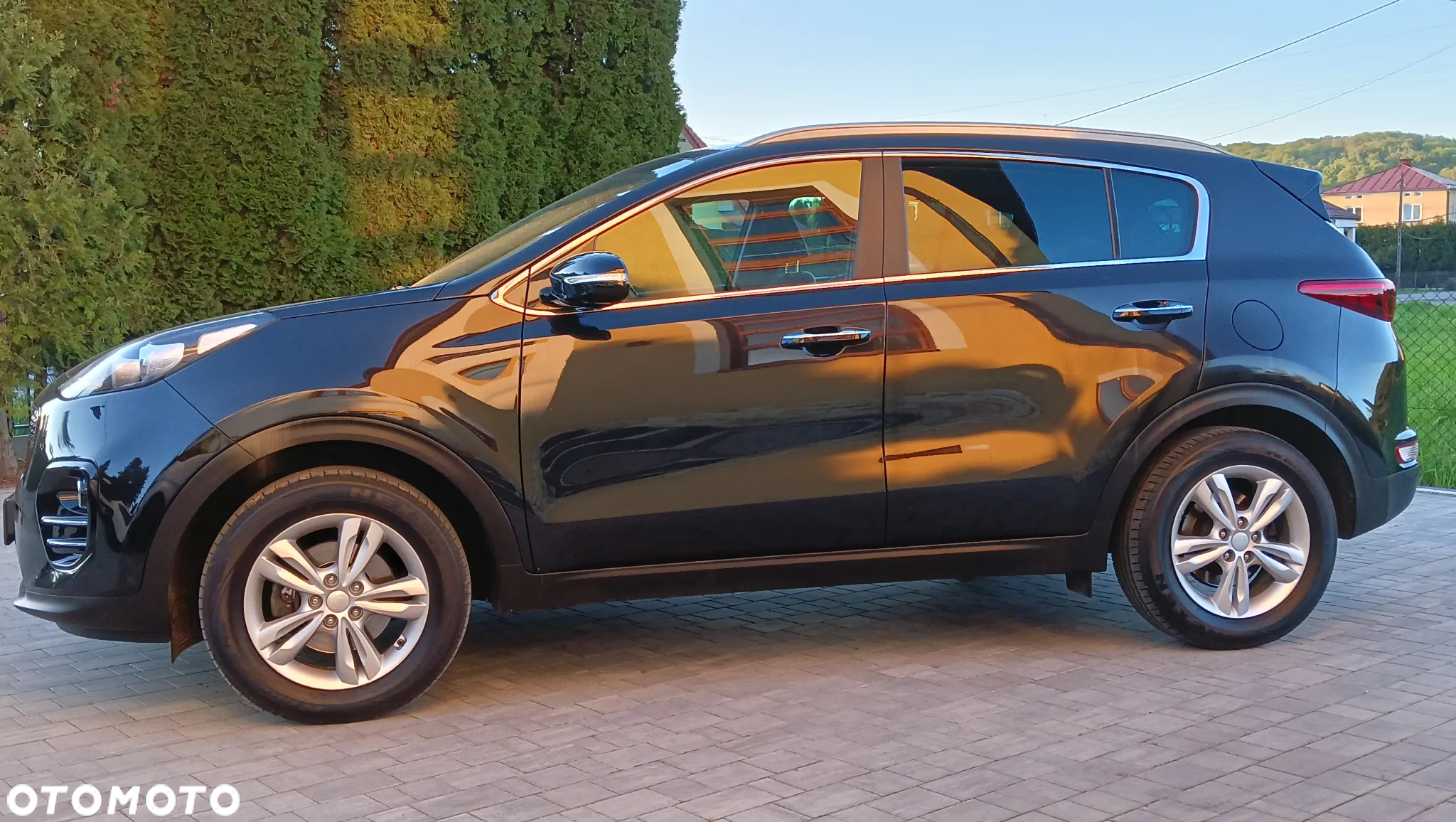 Kia Sportage 1.6 GDI L Business Line Plus 2WD - 32