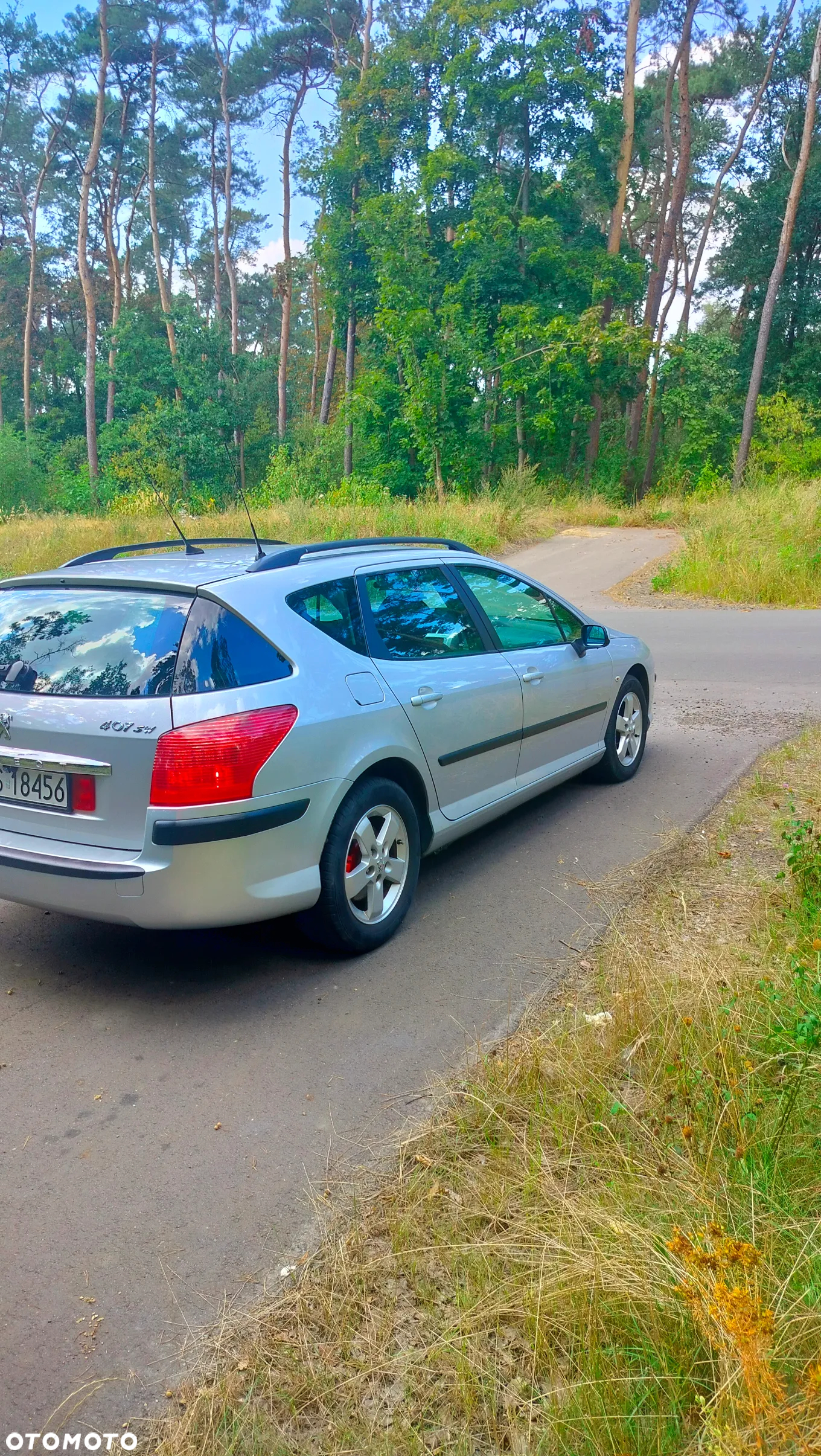 Peugeot 407 1.6 HDI Premium - 5