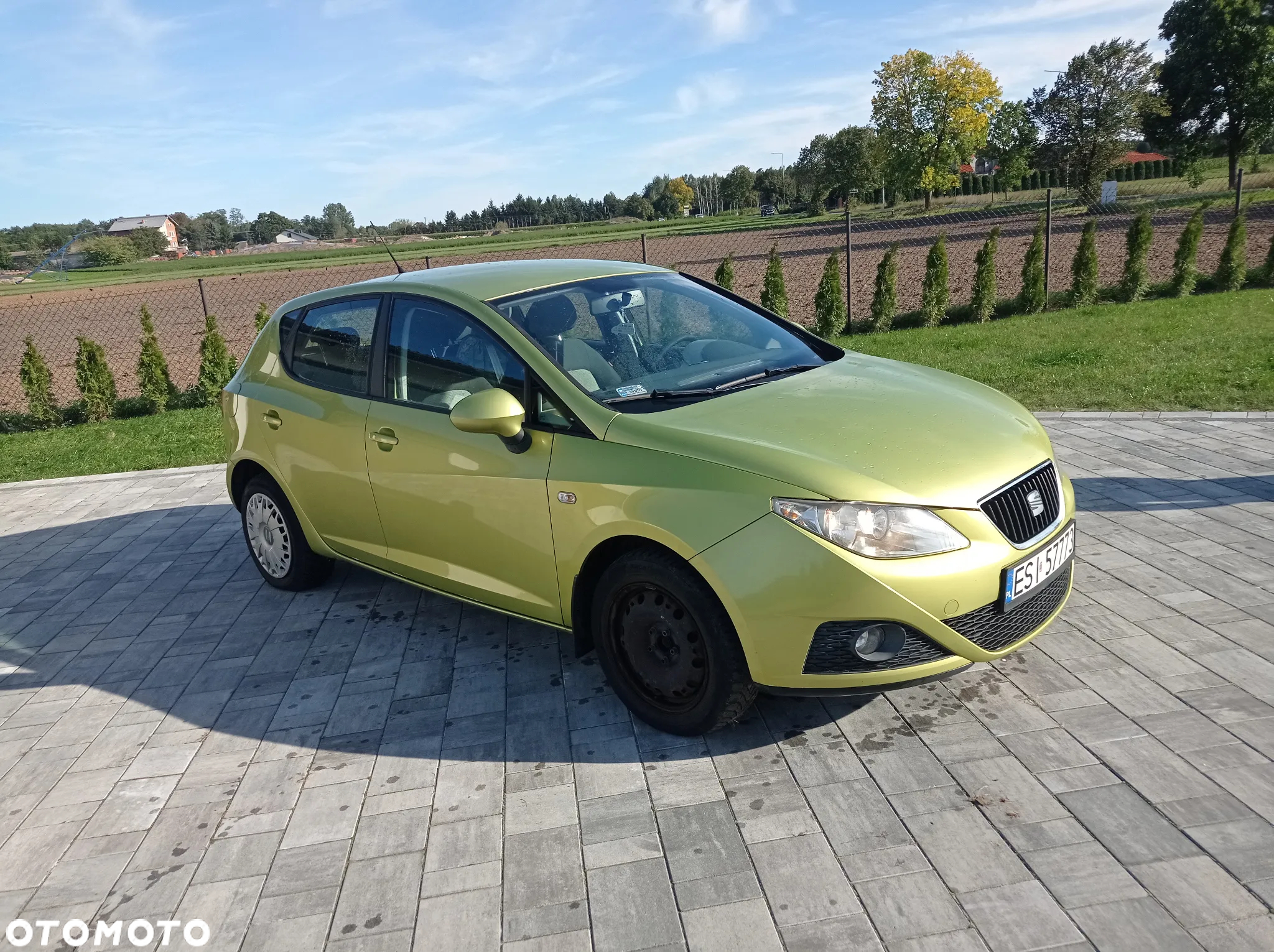 Seat Ibiza - 2