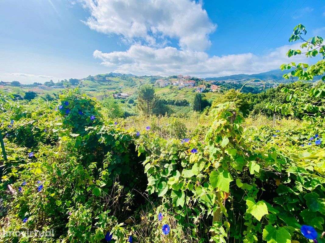 Terreno  para venda - Grande imagem: 5/6