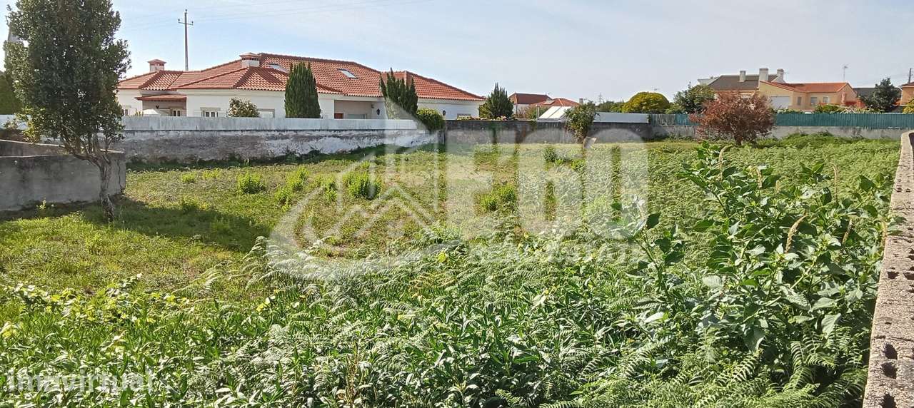 Terreno para  Moradia Cortegaça - Grande imagem: 5/9