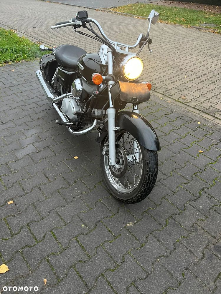 Honda Shadow - 5