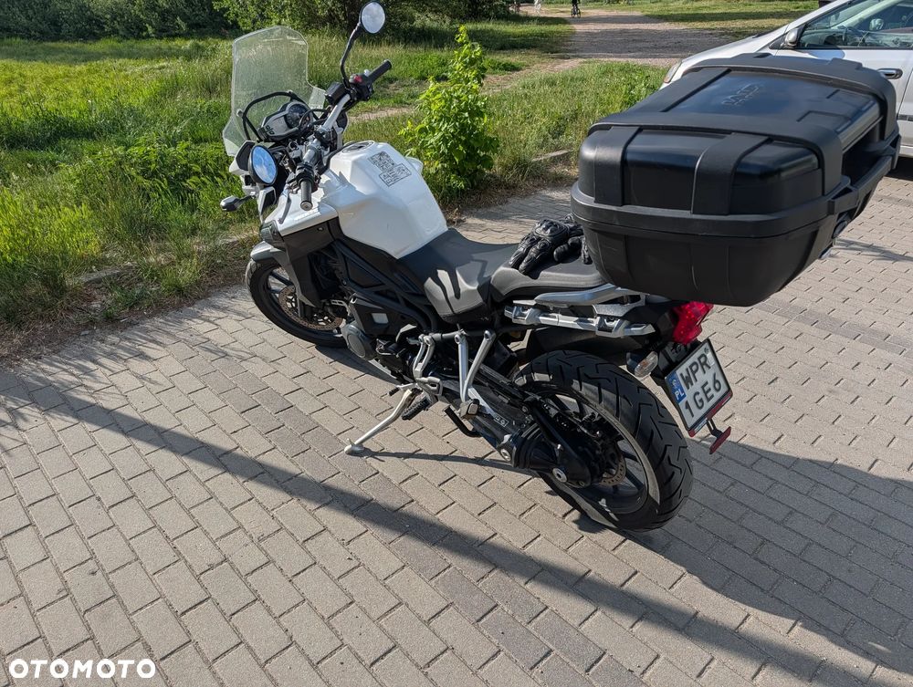 Triumph Tiger - 3