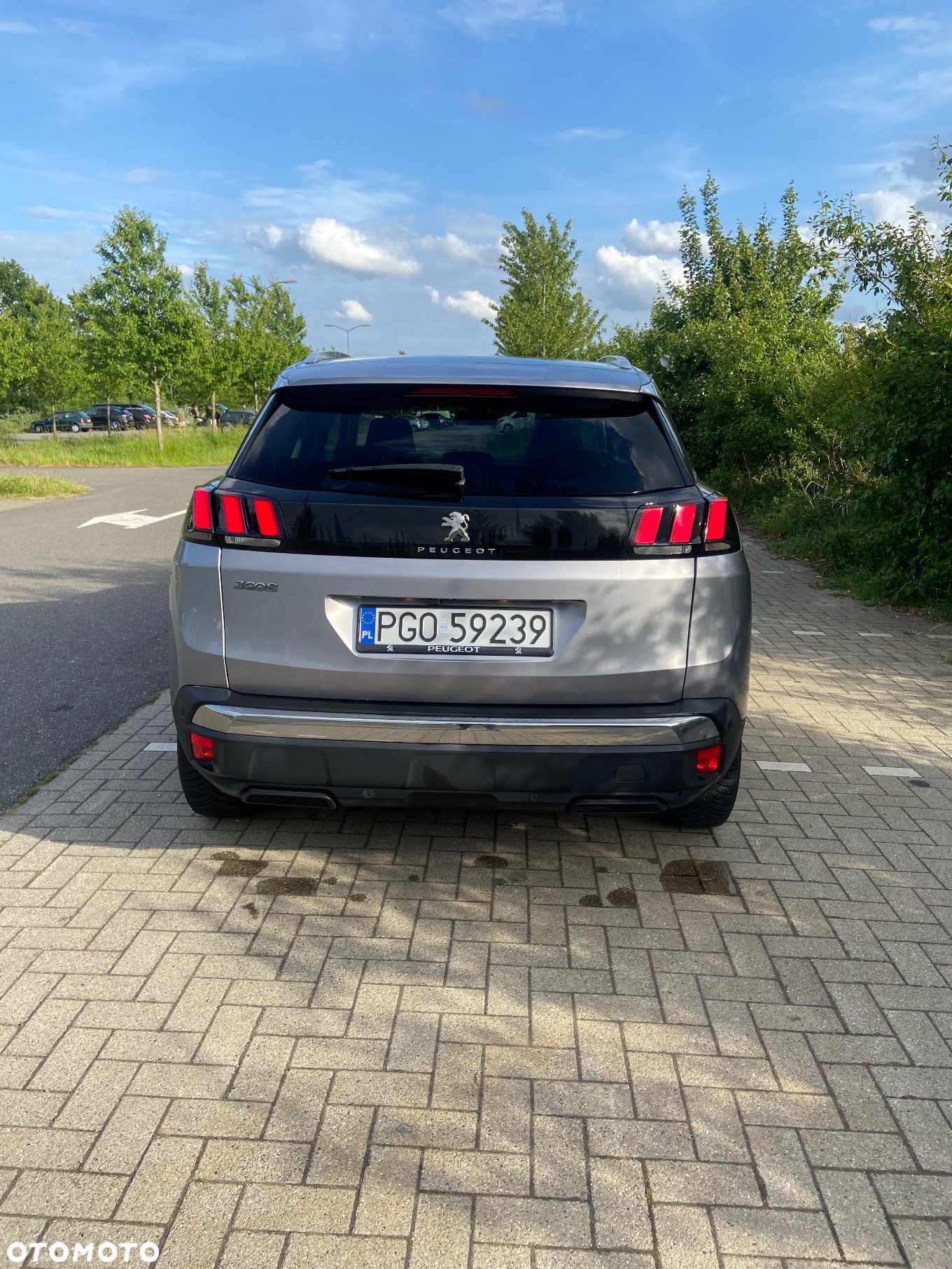 Peugeot 3008 1.2 PureTech GPF Active S&S EAT8 - 5