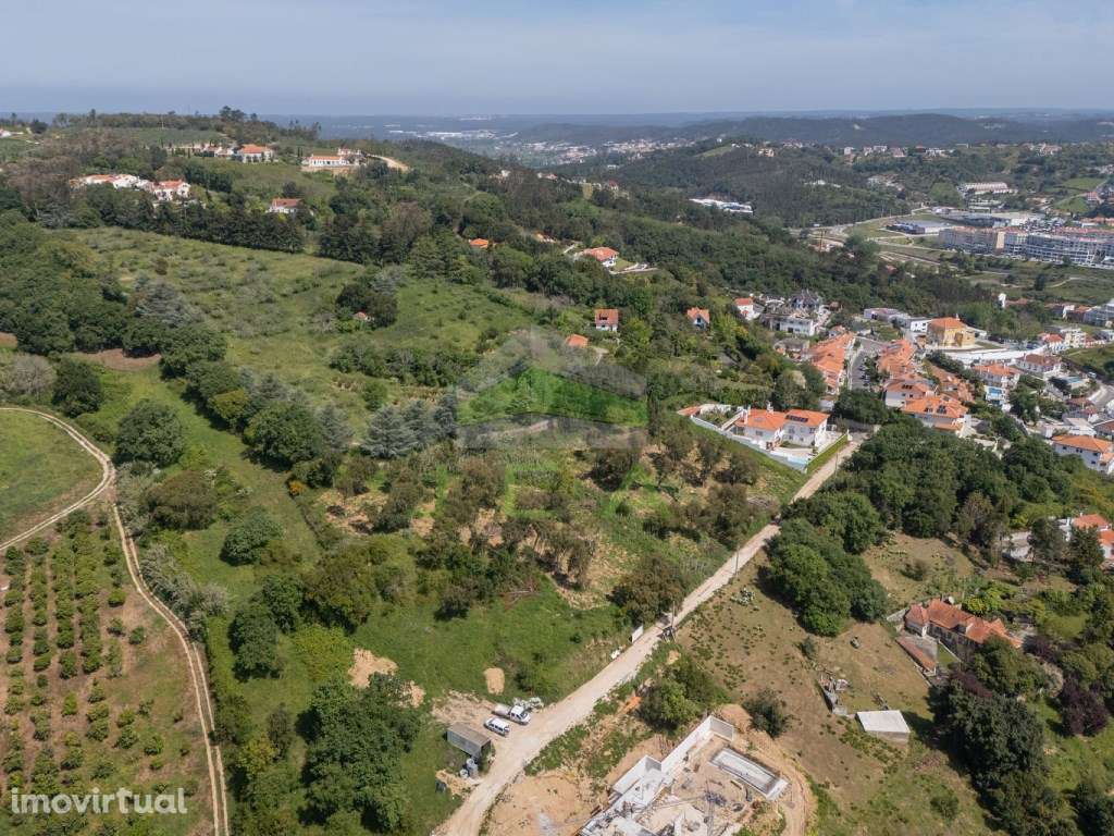 Terreno com 11.000m2 e excelentes vistas sobre Alcobaça - Grande imagem: 3/34