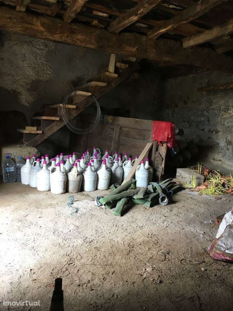 Chaves Vale de Anta - Grande imagem: 5/11