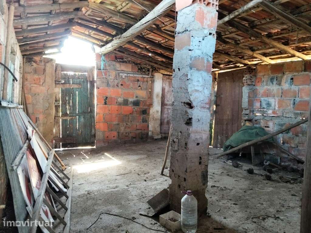 Terreno / Moradia Térrea para restauro - Alquerubim - Grande imagem: 5/17