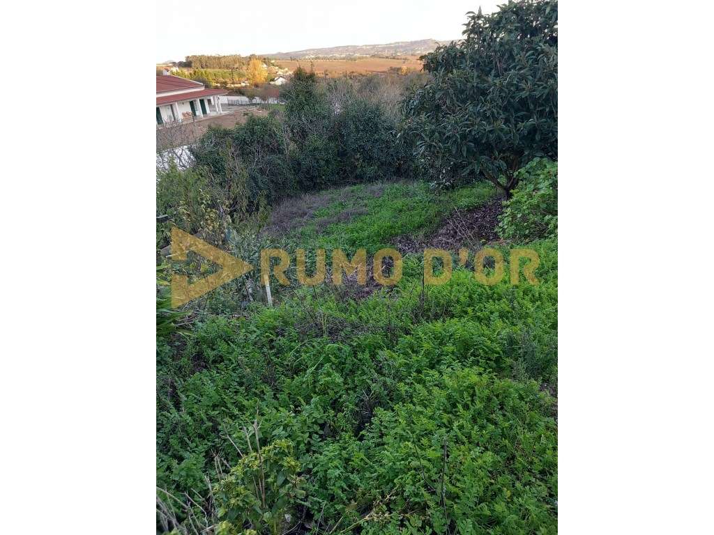 Armazém com Vista Ímpar e Terreno de 360m² - Transforme-o no Seu Re... - Grande imagem: 3/5
