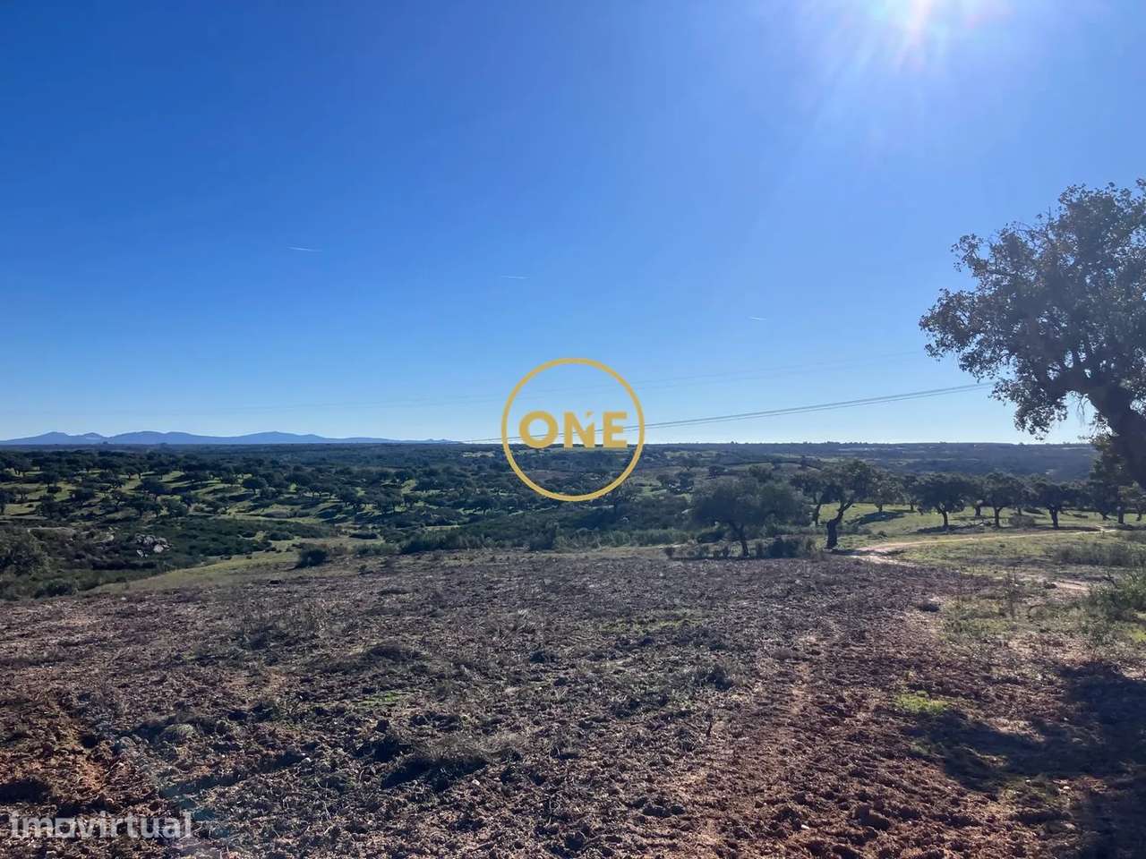 Herdade com 250,125 ha, junto á EN nº359, concelho de Nisa - Grande imagem: 2/6