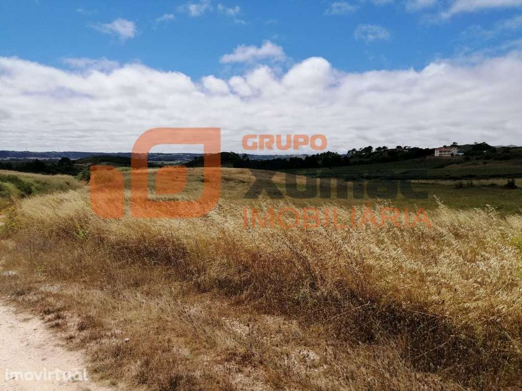 Terreno Rústico com quase 3 hct. plano- Zona de Óbidos! - Grande imagem: 5/6