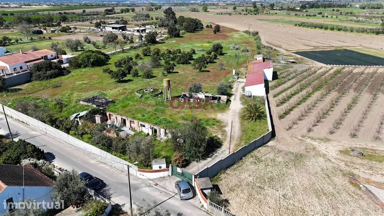 Terreno Misto T3 Venda em Carregueira,Chamusca - Grande imagem: 2/17