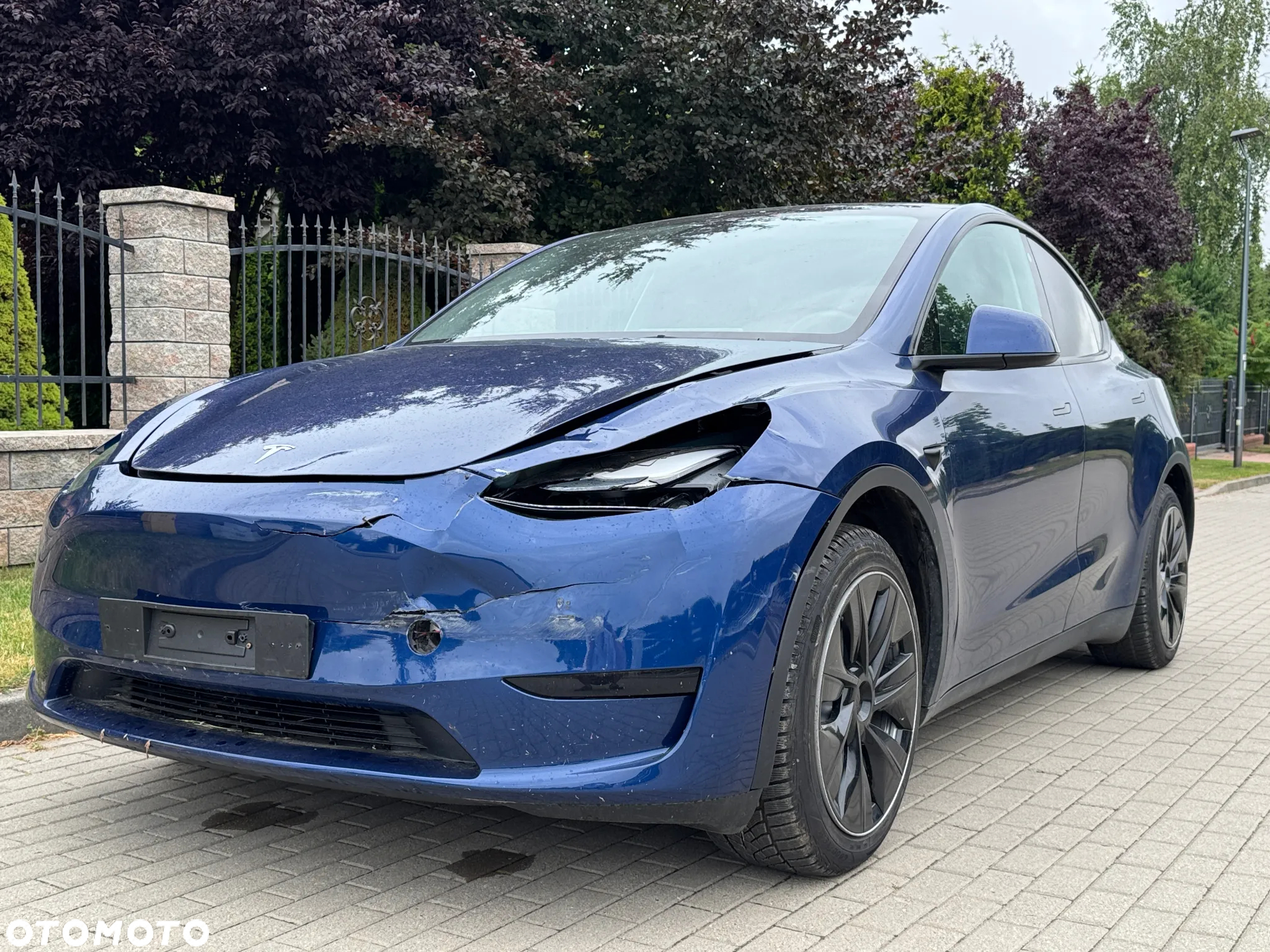 Tesla Y Model RWD - 5
