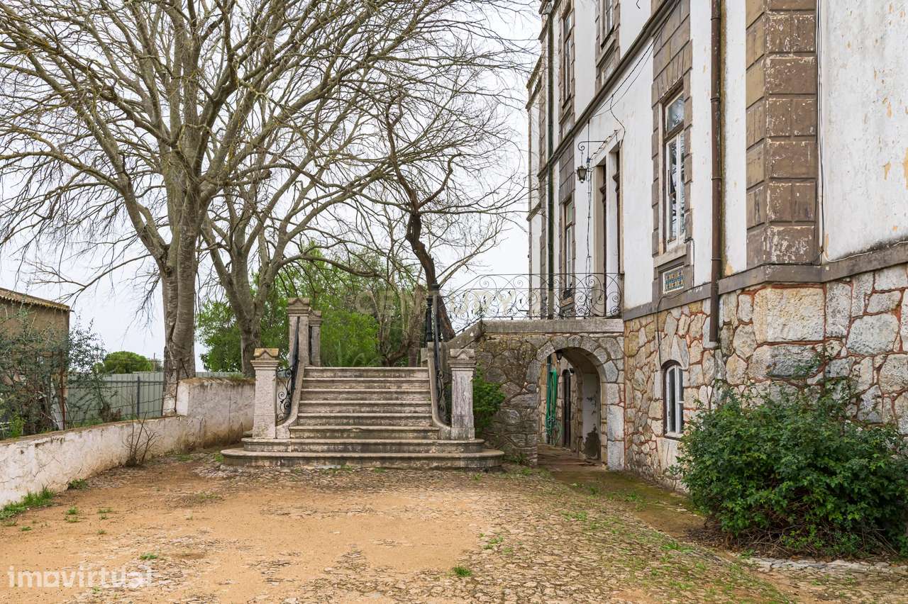 Quinta de 10.300m2 com Palacete do sec. XIX em Serpa - Grande imagem: 5/44