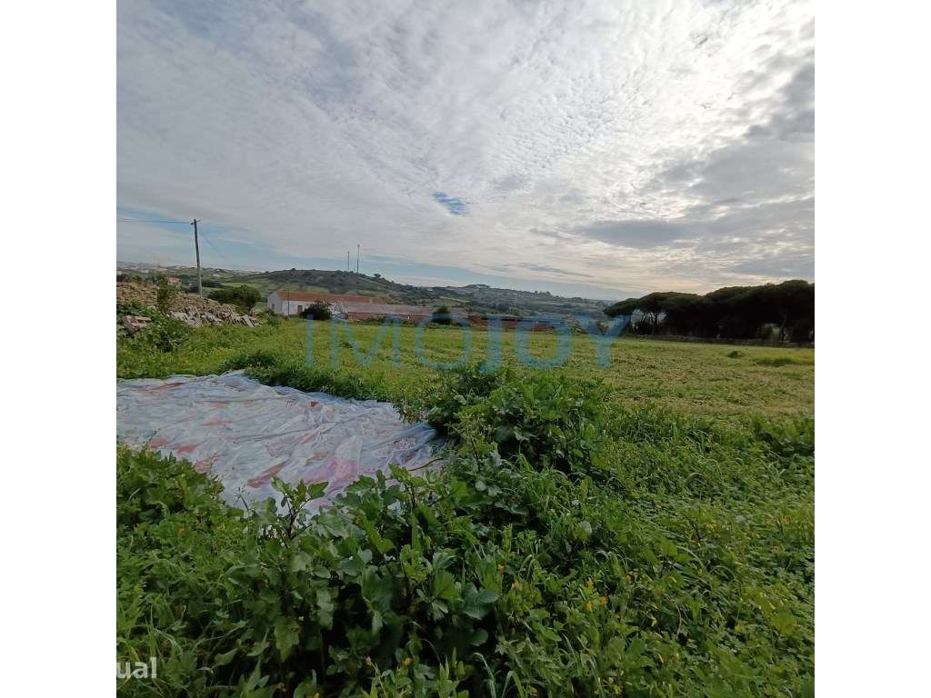 Excelente Terreno Urbano em Areias São João das Lampas - Grande imagem: 4/7