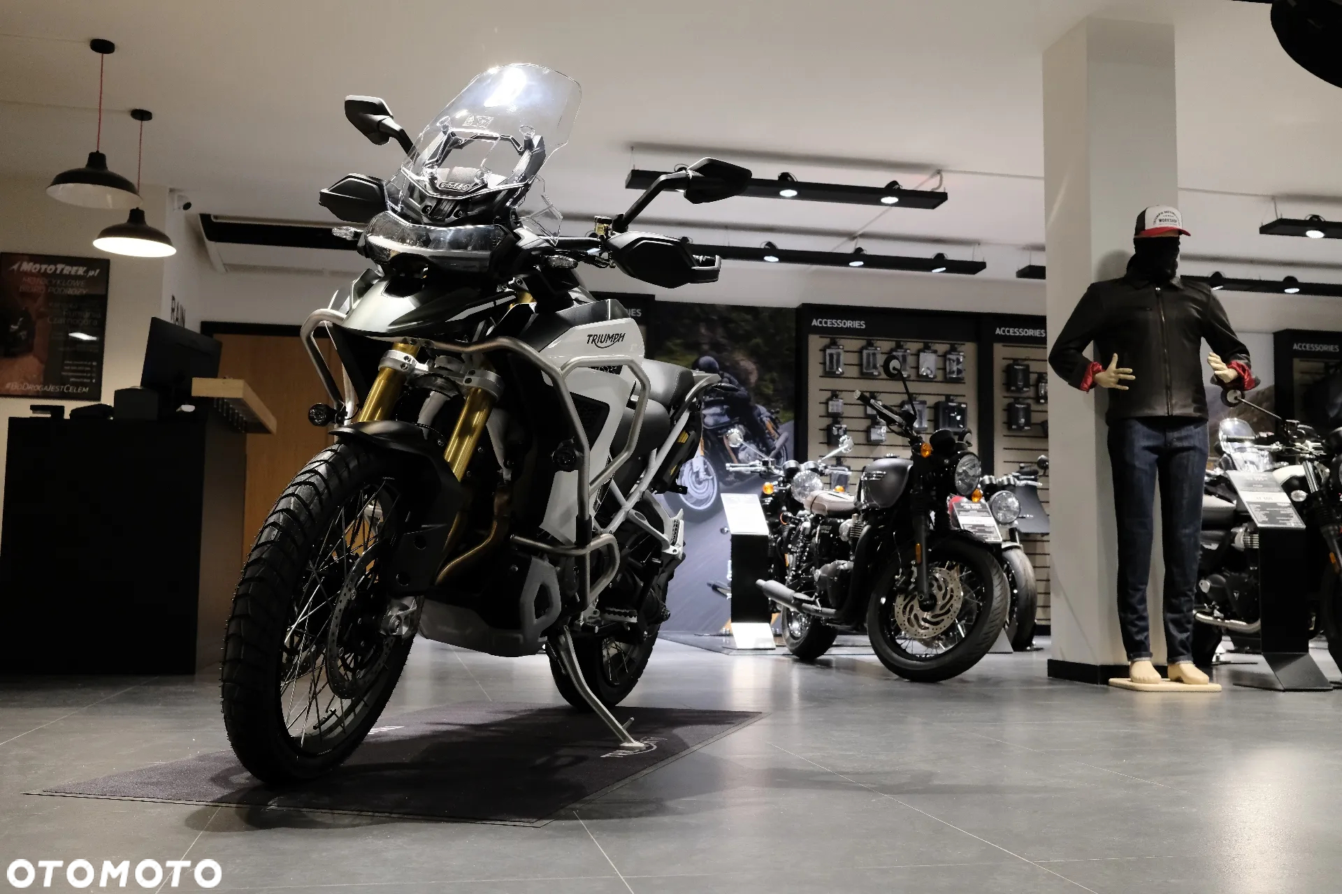 Triumph Tiger - 7