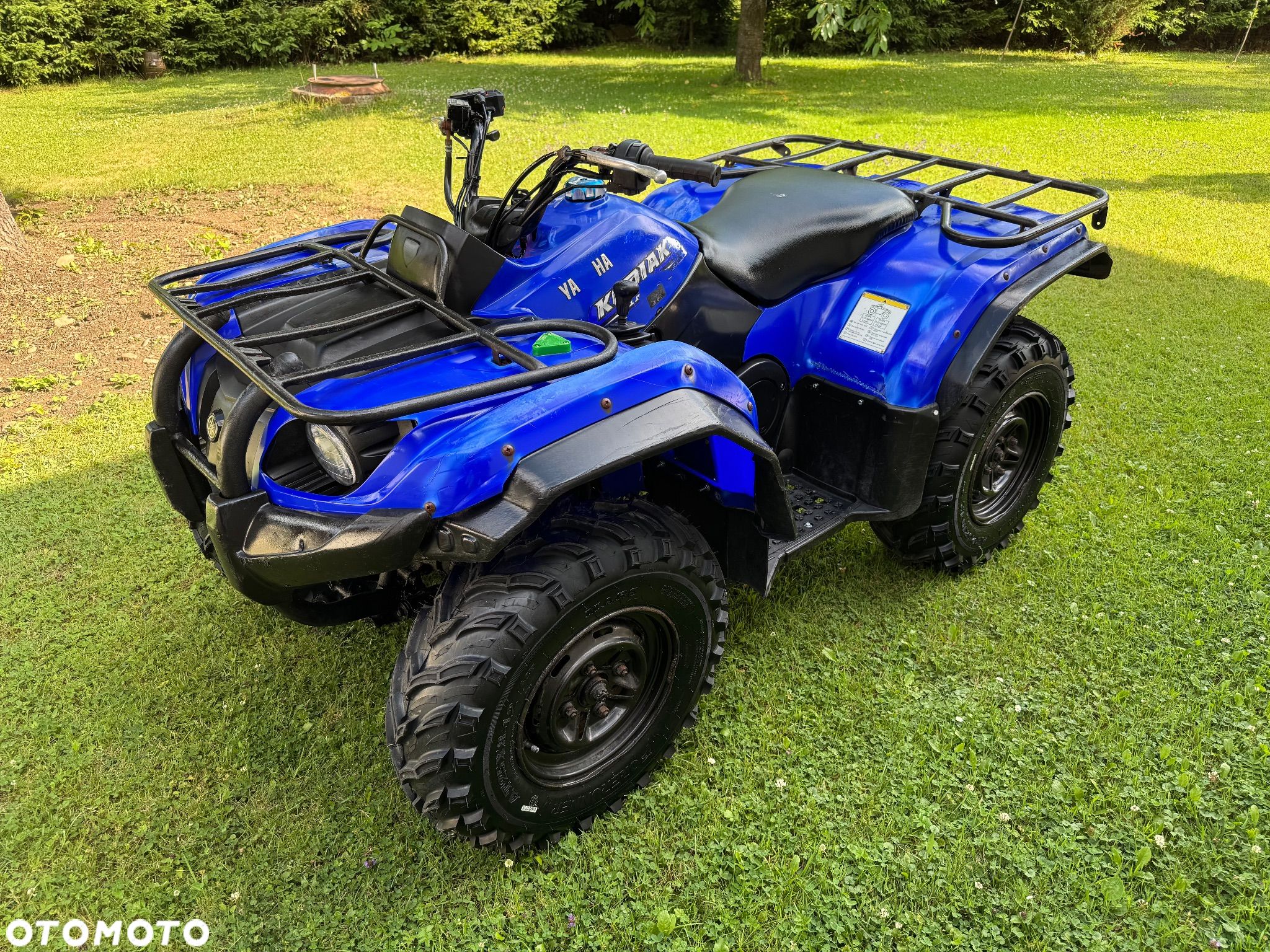 Yamaha Grizzly