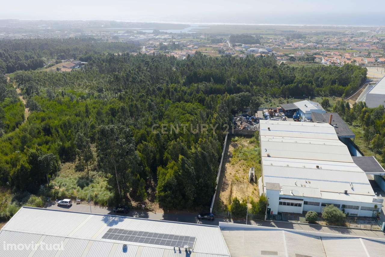 Terreno com possibilidade de construção industrial em Paramos-Espinho - Grande imagem: 4/4