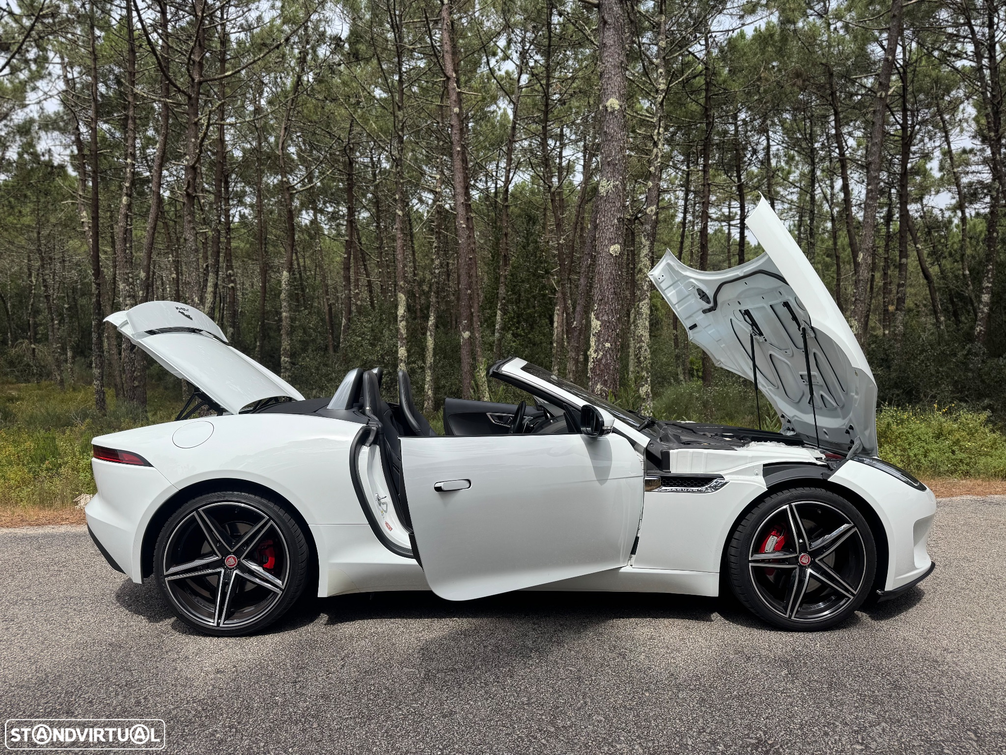 Jaguar F-Type Cabriolet P300 Aut. First Edition - 14