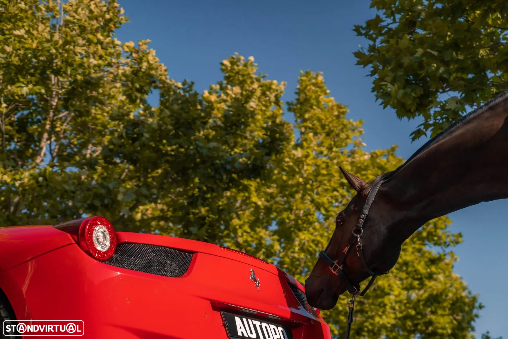 Ferrari 458 - 50