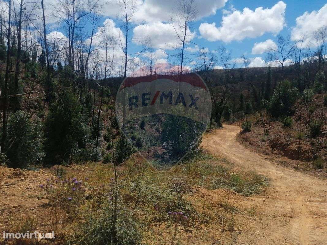 Terreno  para venda - Grande imagem: 3/14