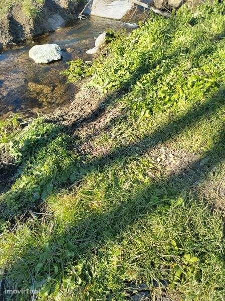 Terreno Rústico/Urbanizavel - Grande imagem: 2/3