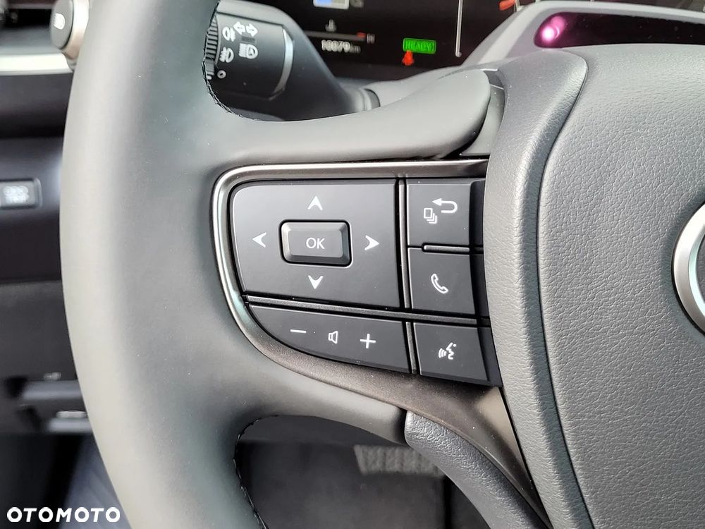 Lexus UX 300h F Sport Design - 27