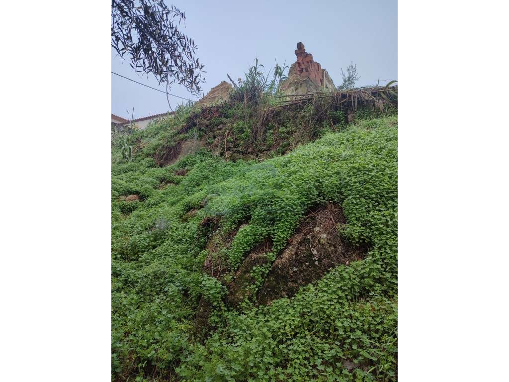 Terreno com Ruína para Reconstrução - Arripiado - Grande imagem: 4/6