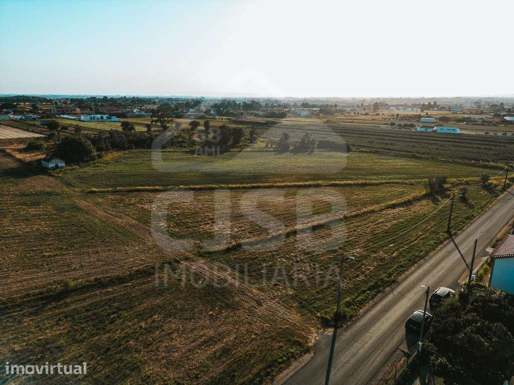 Terreno urbanizável - Foros Salvaterra / Possível Permuta - Grande imagem: 5/10