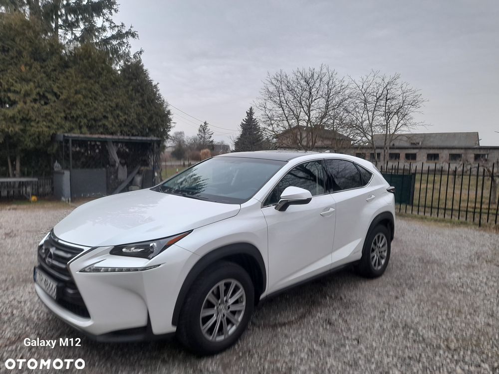 Lexus NX 300h Comfort AWD - 9