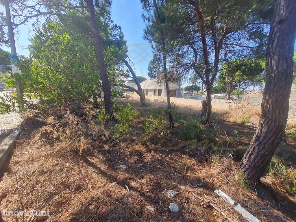 Lote de Terreno para construção Urbana - Grande imagem: 4/9