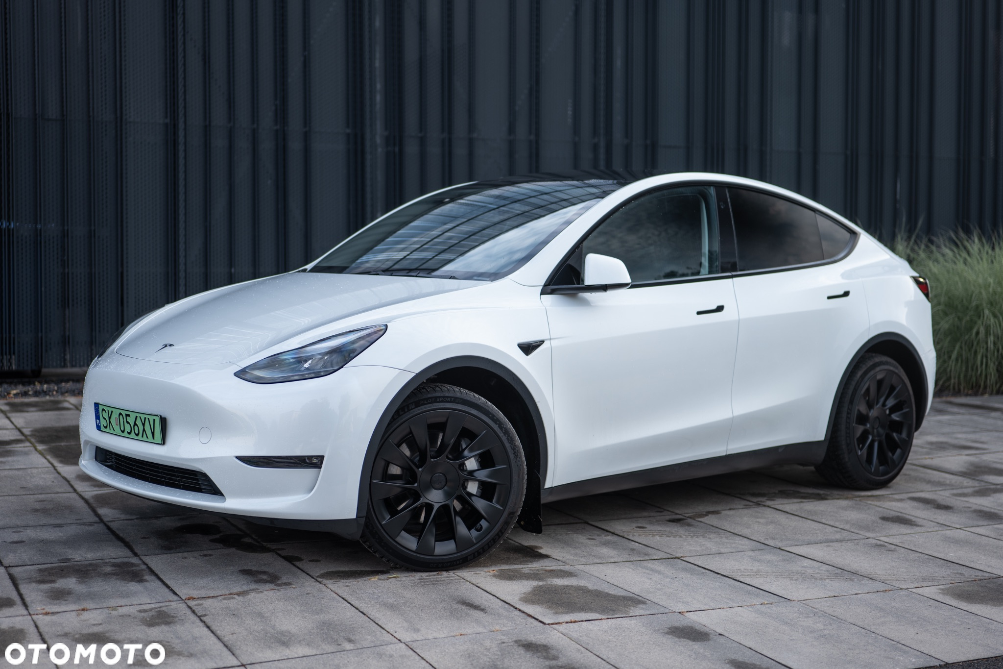 Tesla Y Long Range AWD - 3