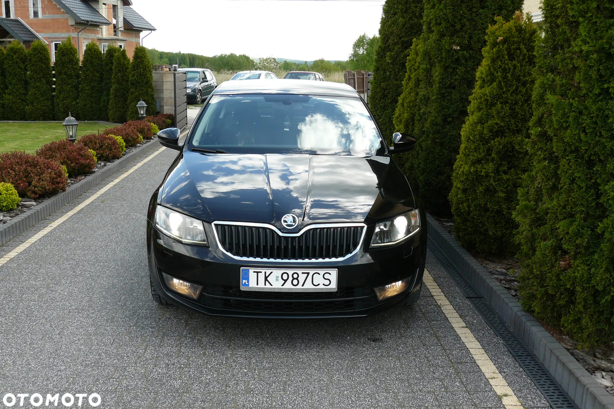 Skoda Octavia 2.0 TDI Elegance - 14
