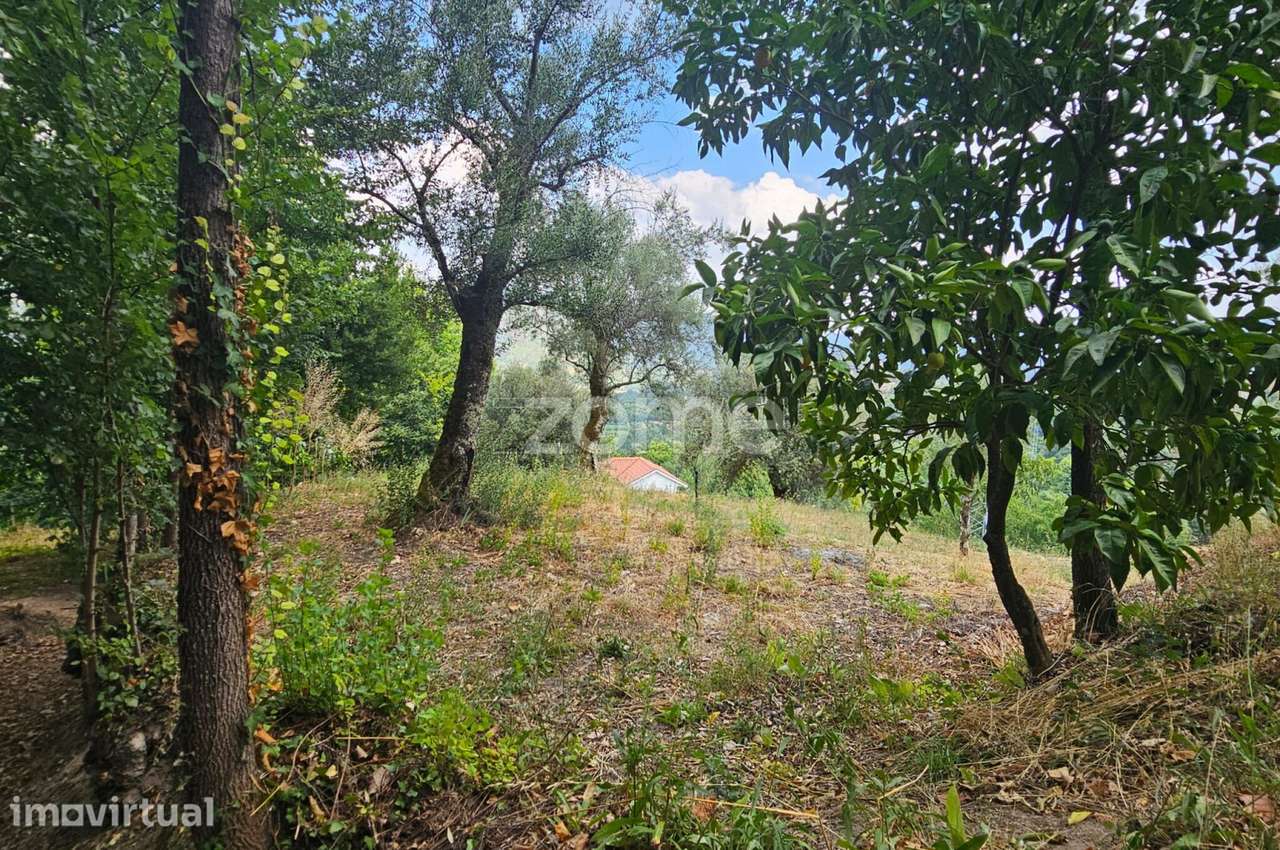 Moradia T1 para Reabilitação com Terreno em Lamelas, Ribas – Celori... - Grande imagem: 3/5