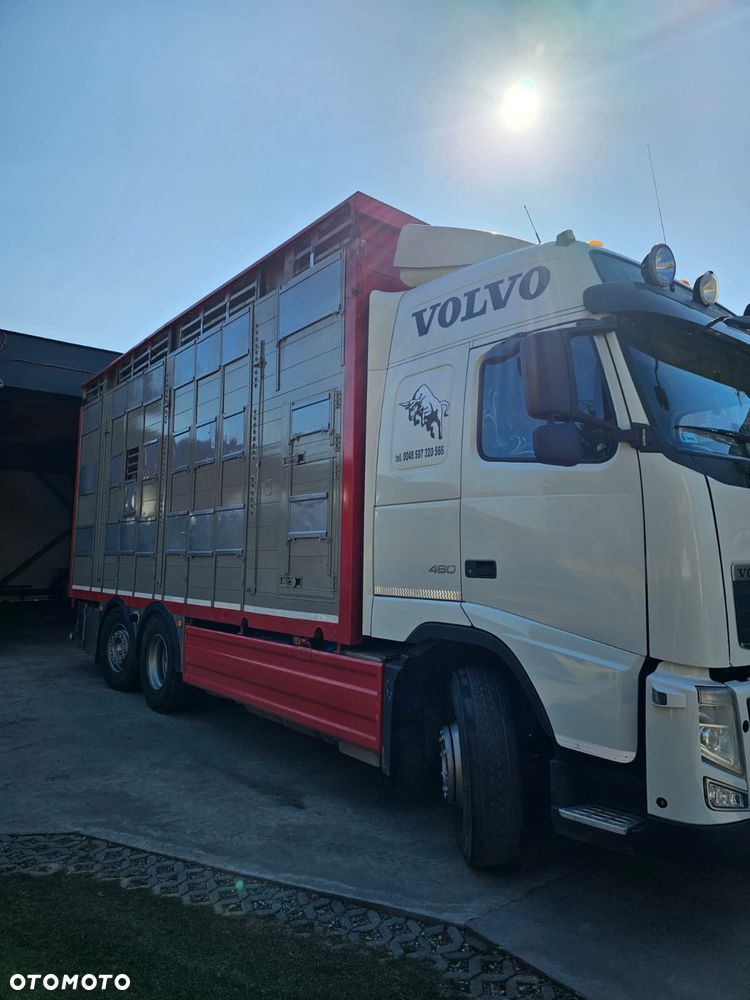 Volvo FH460 - 12