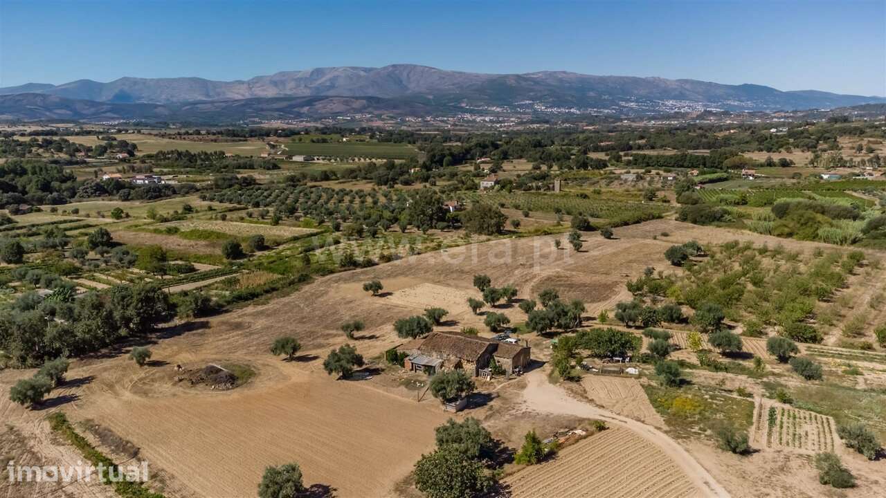 Quinta T1 / Fundão, Fundão - Grande imagem: 2/15