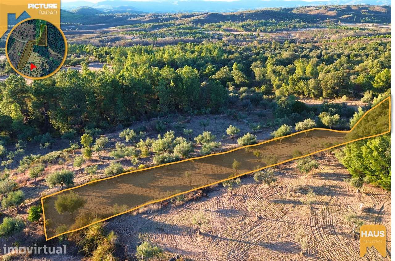 Terreno Rústico de 2.900 m² em Juncal do Campo – Castelo Branco. - Grande imagem: 4/27