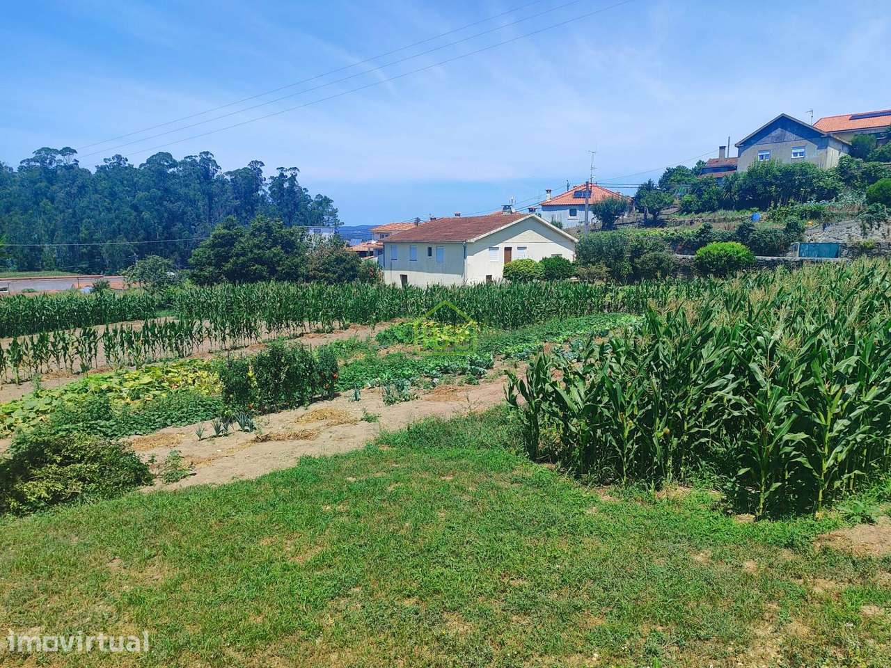 Terreno | Arcos | Vila do Conde - Grande imagem: 2/18