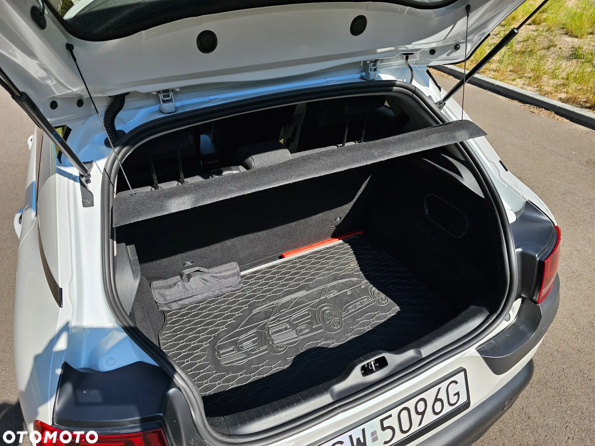 Citroën C4 Cactus 1.6 BlueHDi Shine - 20